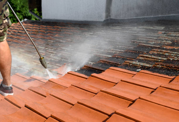 Best Pressure Washing Near Me  in Lake Telemark, NJ
